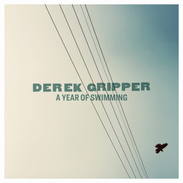 Derek Gripper - A Year Of Swimming