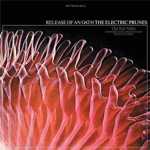 29031